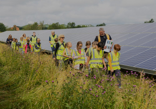 Understanding Community Solar: How to Incorporate Renewable Energy into Your Business